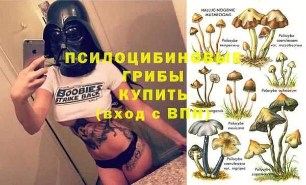 мескалин Алексеевка